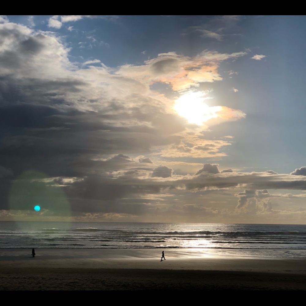 Meet your Posher, Elise